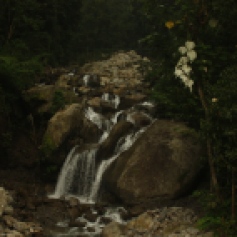 Waterfalls at Hill Cart road - en route to Darjeeling