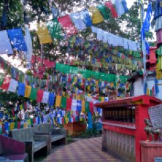 Buddhist Prayer Flags - Mahakal Temple
